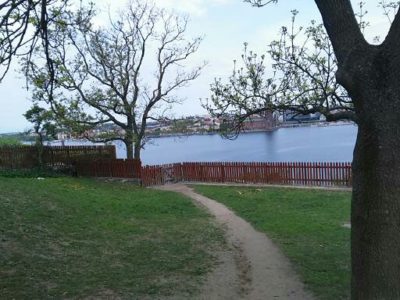 Ivar Los park