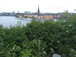 Ivar Los park