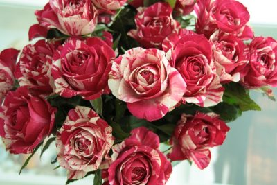 There is nothing like beautiful flowers to celebrate a mother's love on Mother's Day.