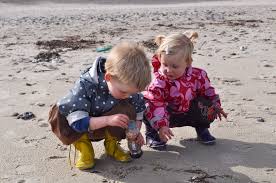A toddler boy and toddler girls examine shells on a beach.