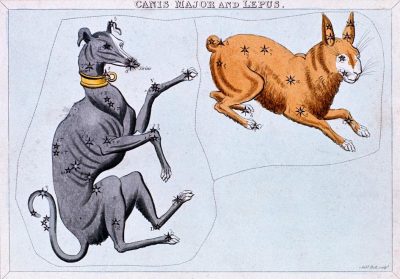 A drawing of a gray dog and a brown hare with stars on them.